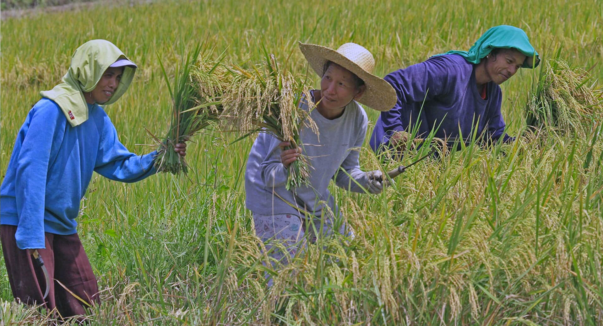 Farmer Support